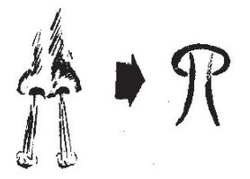 component si 四