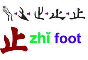 Pictogram of 止 foot