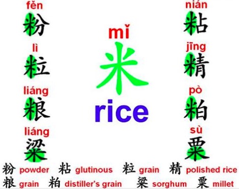 Radical rice 米