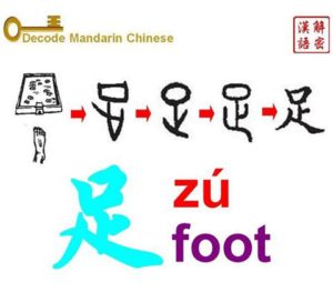 Pictogram of 足 foot