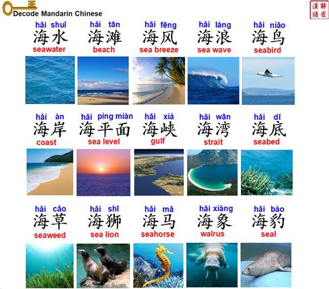 Vocabulary about sea