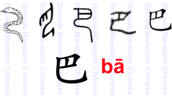 component snake 巴