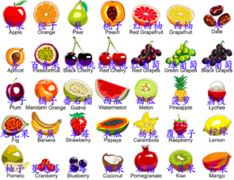 Names of fruits