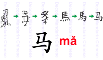 Component horse 马
