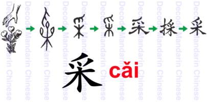 采 a hand picking from a tree