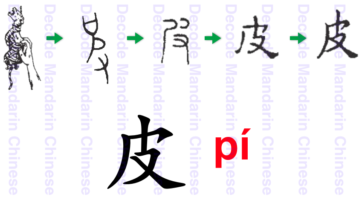皮 a hand stripping the fur from an animal pelt