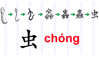 Component insect, worm, bug 虫