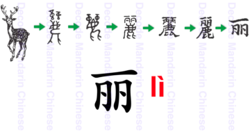 Component couple or a pair 丽