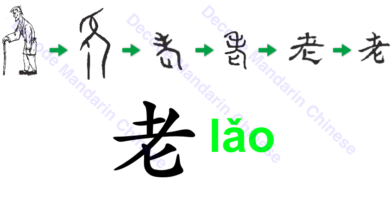 老 an old person