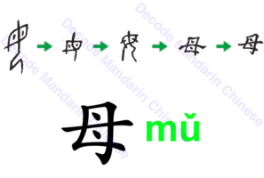 Component 母 mother