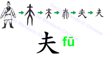 Component 夫 adult male