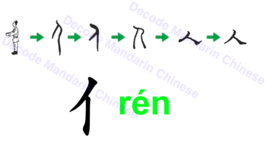 Component 亻