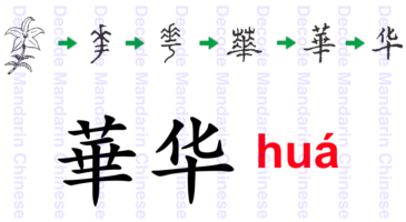 Component 华 a flourishing flower