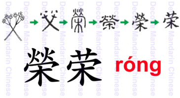 Component 荣 chinese parasol tree
