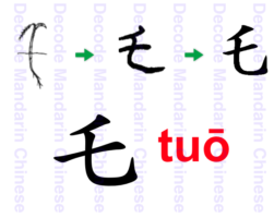 Component 乇 a plant stem bearing leaves