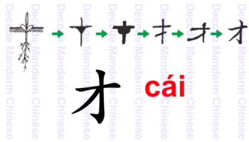 Component 才 a plant in initial growth stage