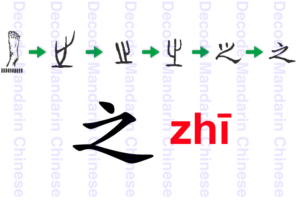 Component 之 go