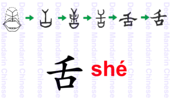 Component tongue 舌