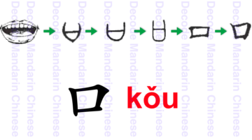 Component mouth 口