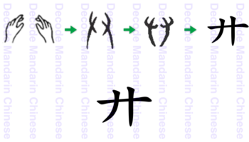 廾 hand v