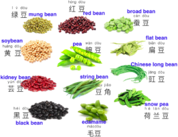 Vocabulary about beans