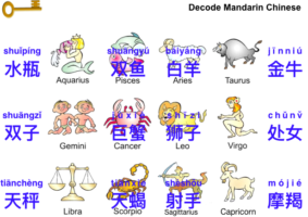 12 Zodiac Signs 十二星座