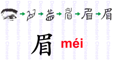Component eyebrow 眉