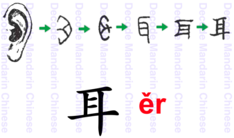 Component ear 耳