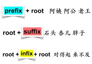 Build vocabulary with affixes