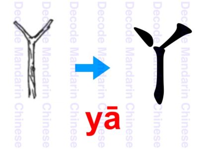 丫 fork of a tree